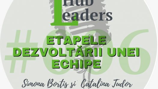 Cele 5 etape de dezvoltare ale unei echipe performante