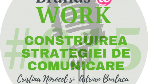 Care sunt etapele construirii unei strategii de comunicare? S1E015