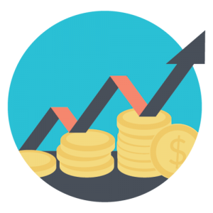 Pregatirea companiei pentru vanzare