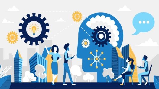 teoriile comportamentale din leadership