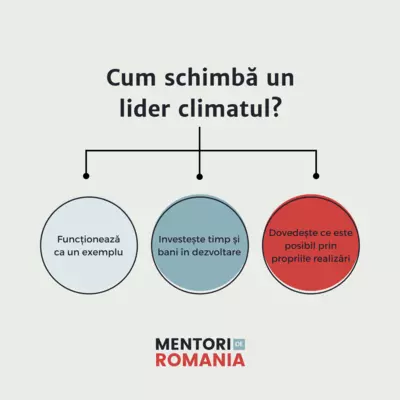 optimizare a mediului de lucru cresterea productivitatii angajatilor 